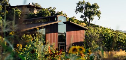 A winery building above a bank of sunflowers